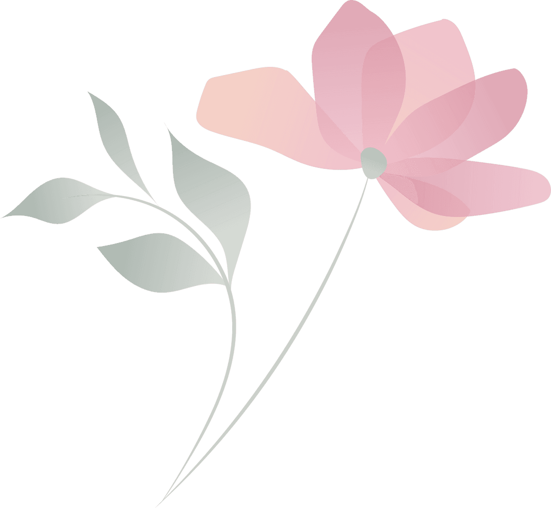 Transparent Minimalist Flower with Pink Petals and Leaves