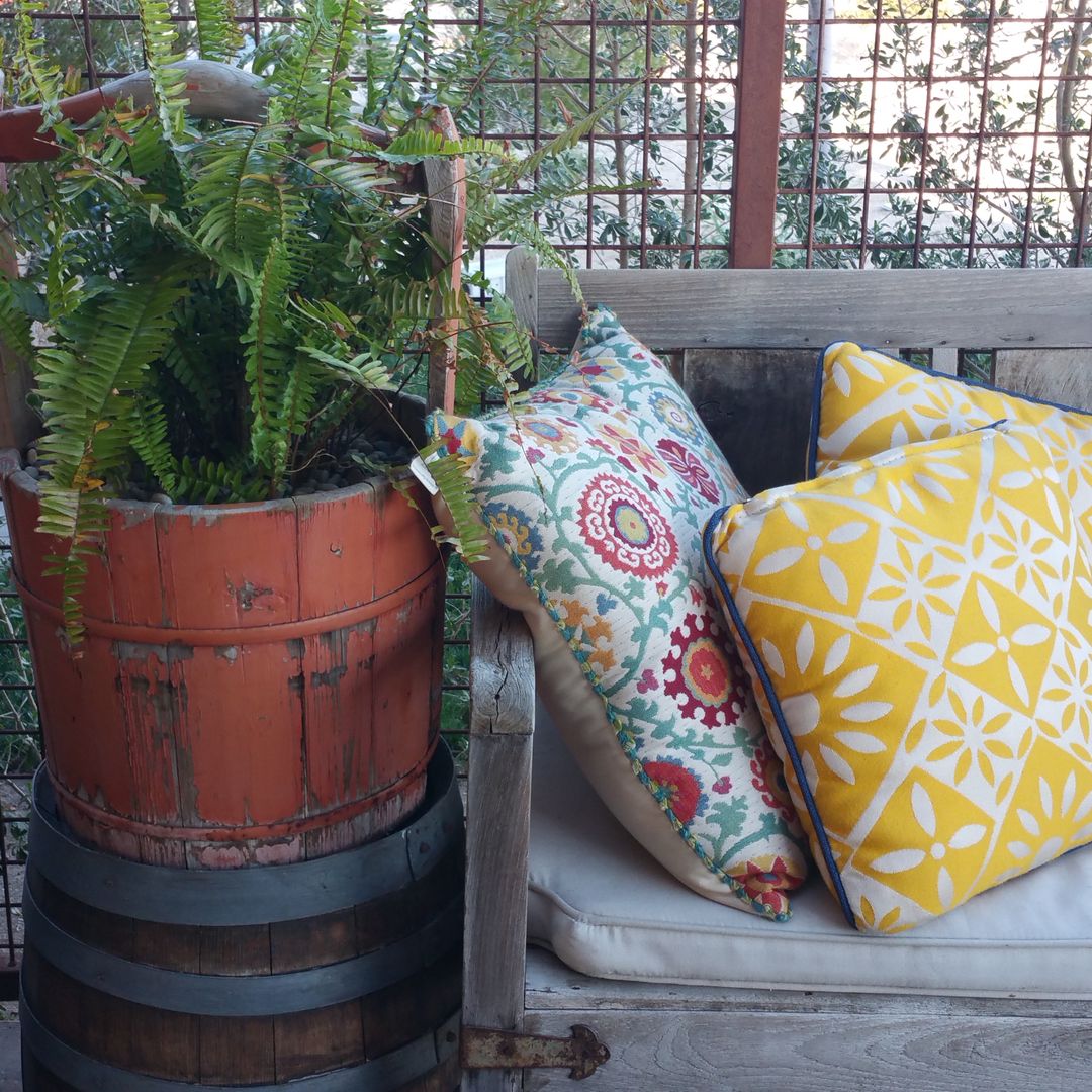 Colorful Outdoor Patio With Decorative Cushions and Potted Fern - Free Images, Stock Photos and Pictures on Pikwizard.com