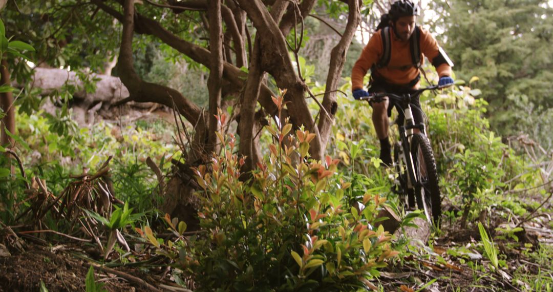 Adventurous Mountain Biker Navigating Forest Terrain