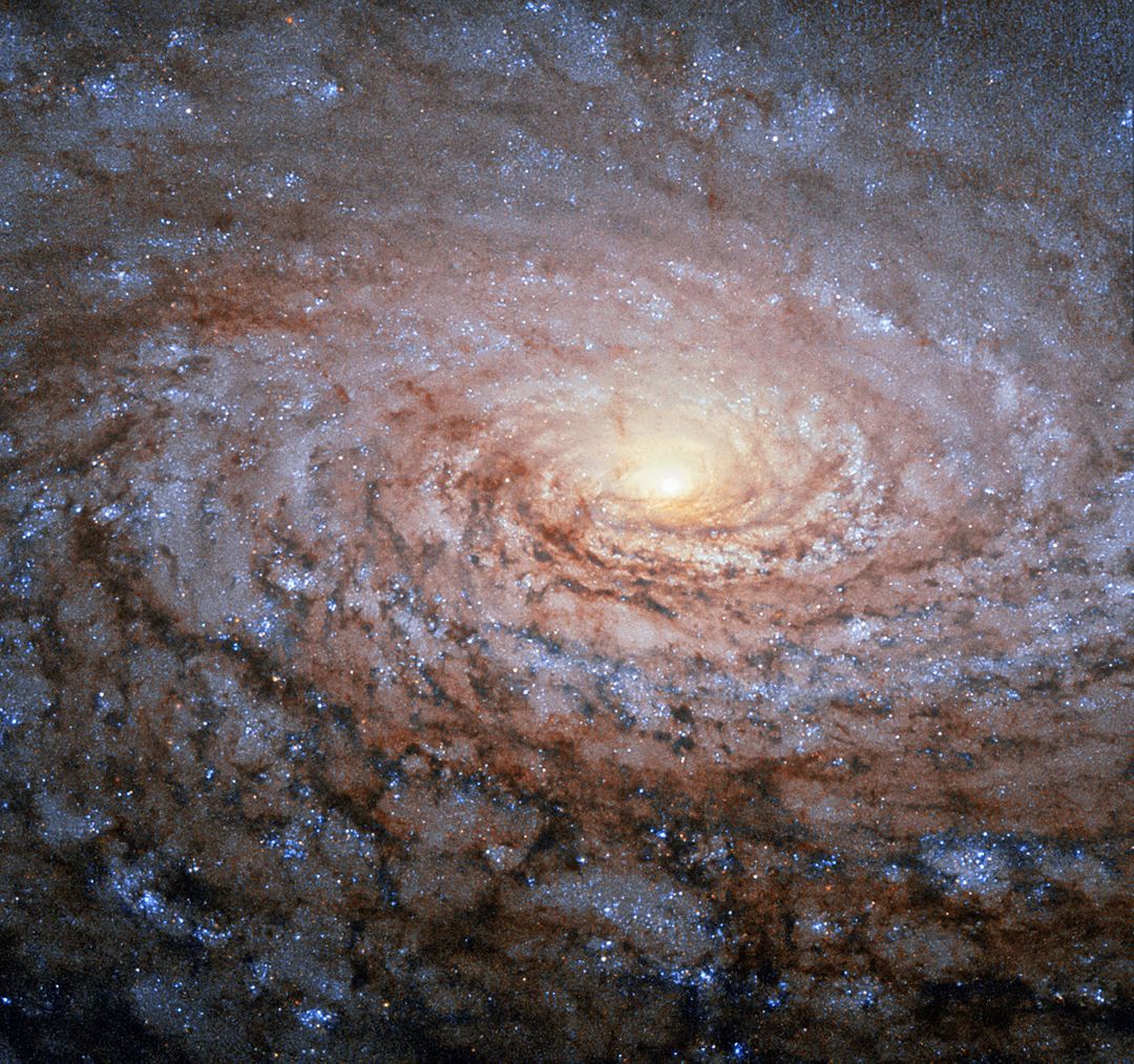 Hubble Sees a Galactic Sunflower - Free Images, Stock Photos and Pictures on Pikwizard.com