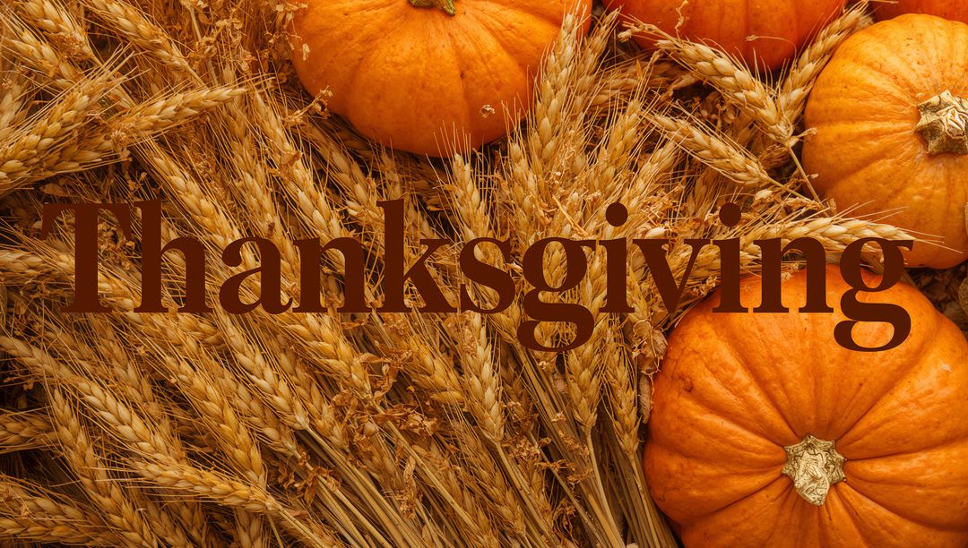 Thanksgiving Harvest Display with Pumpkins and Golden Wheat on Rustic Tabletop