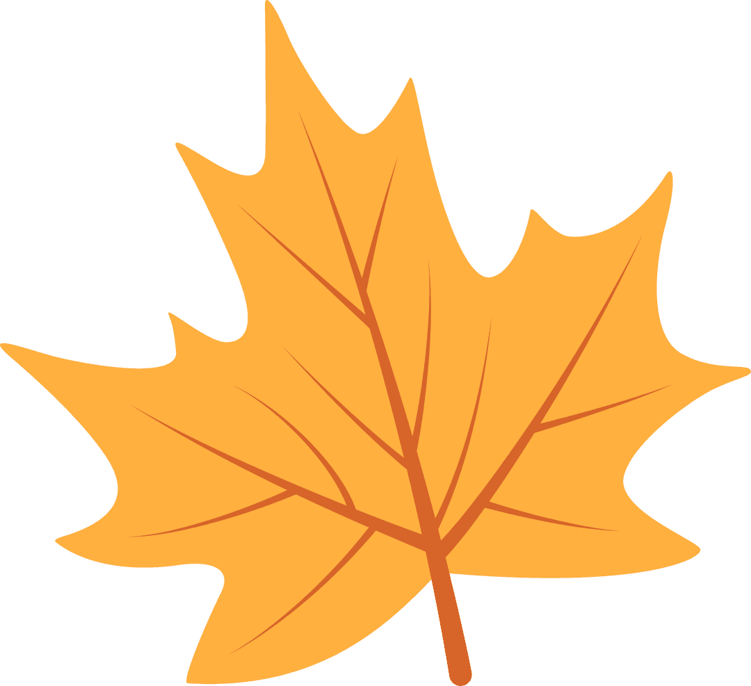 Illustrated Orange Maple Leaf on Transparent Background