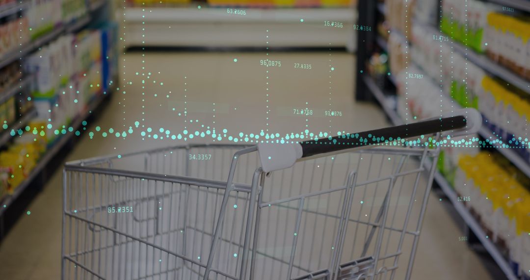 Integrating Financial Analytics with Grocery Shopping Interface