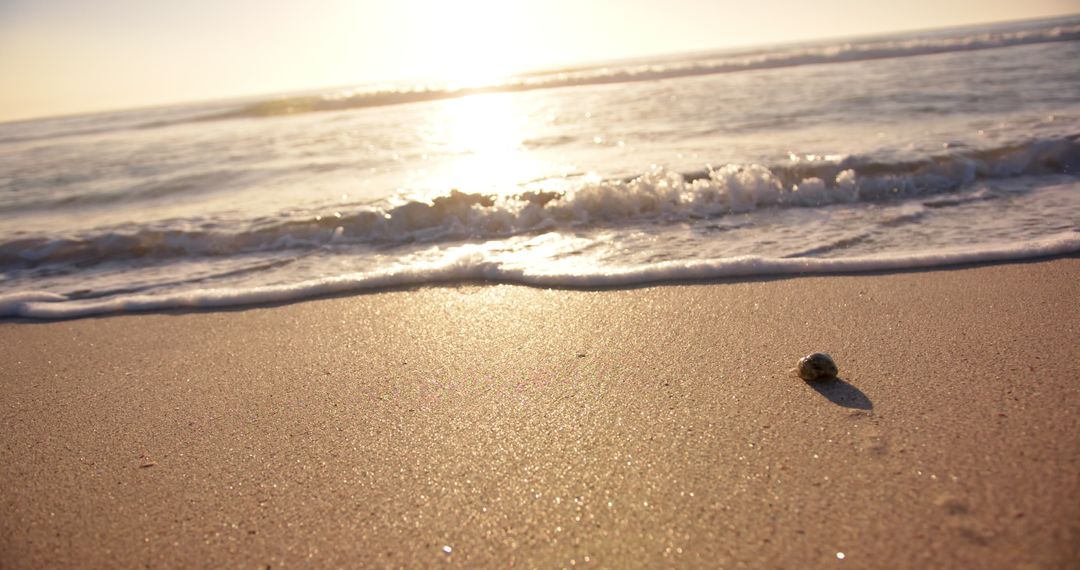 Tranquil Beach Scene at Sunset with Gentle Waves and Single Stone