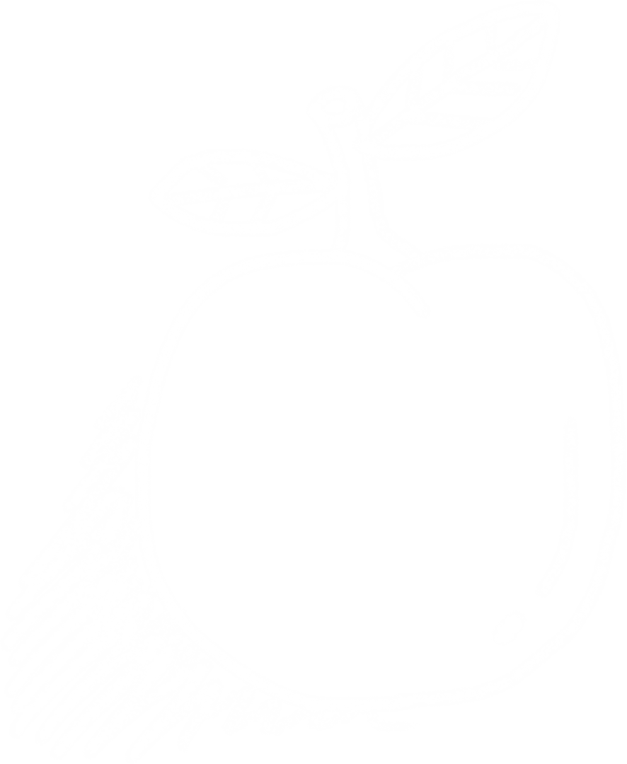 White Transparent Apple Outline with Leaves