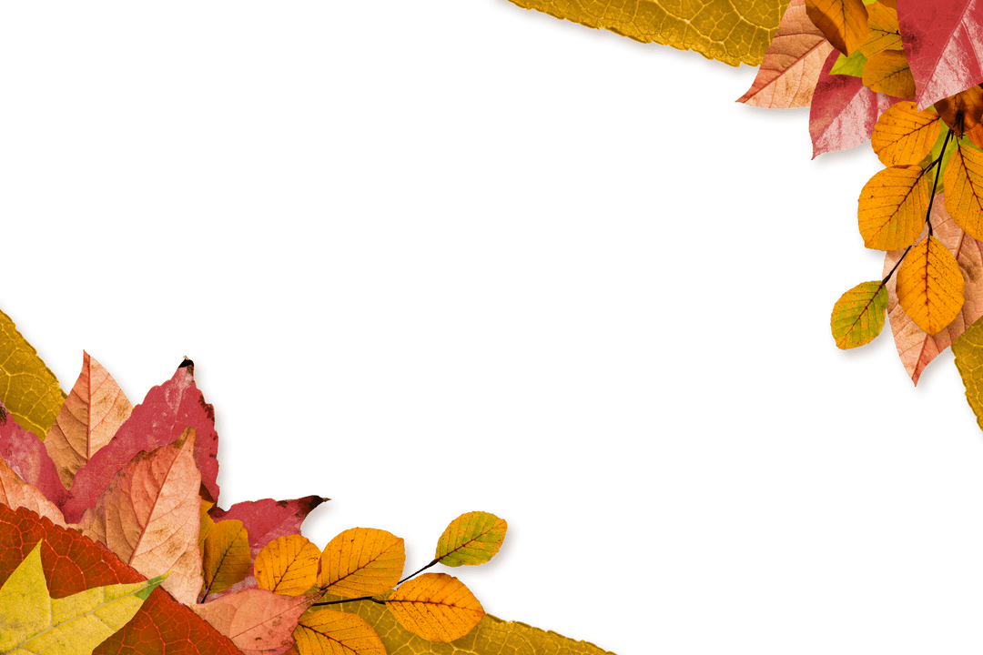 Autumn Leaves Frame with Copy Space on Transparent Background