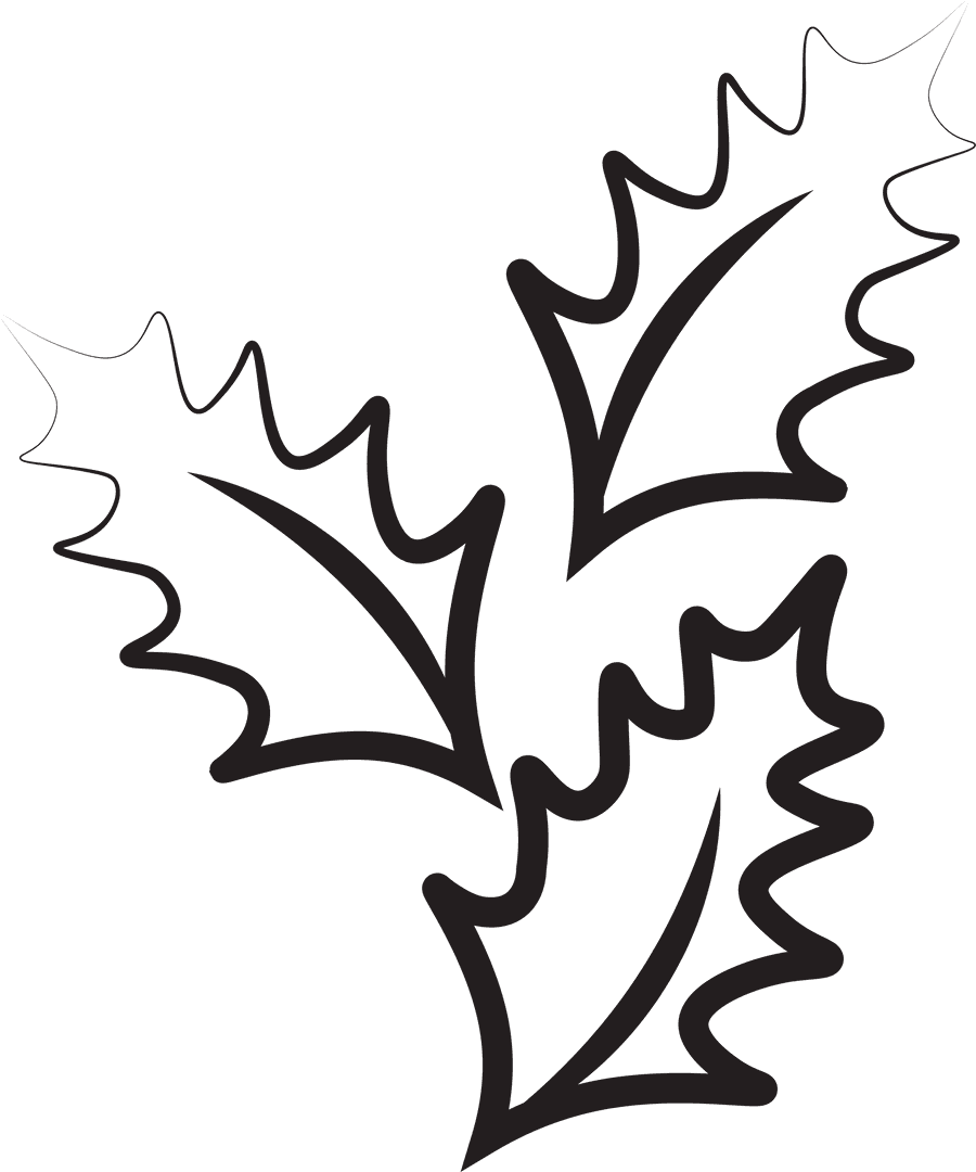 Transparent Leaf Outline Illustration with Three Black Leaves