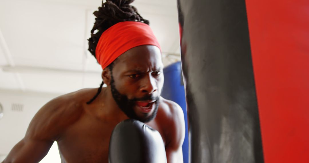 Determined African American Boxer Punching Heavy Bag in Gym - Free Images, Stock Photos and Pictures on Pikwizard.com