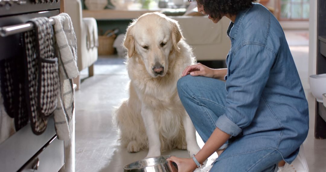Woman feeding Golden Retriever in cozy kitchen interior - Free Images, Stock Photos and Pictures on Pikwizard.com