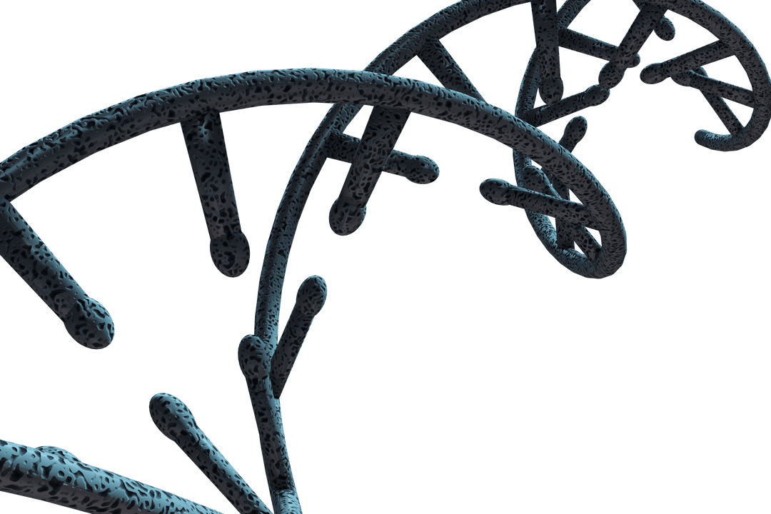 3D Molecular Structure on Transparent Background