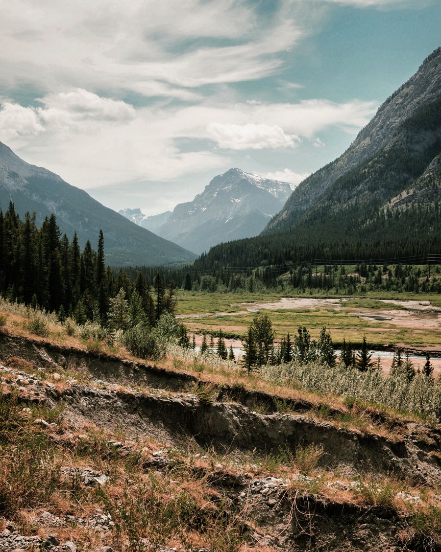 Majestic Mountain Landscape with Forest and Open Valley - Free Images, Stock Photos and Pictures on Pikwizard.com