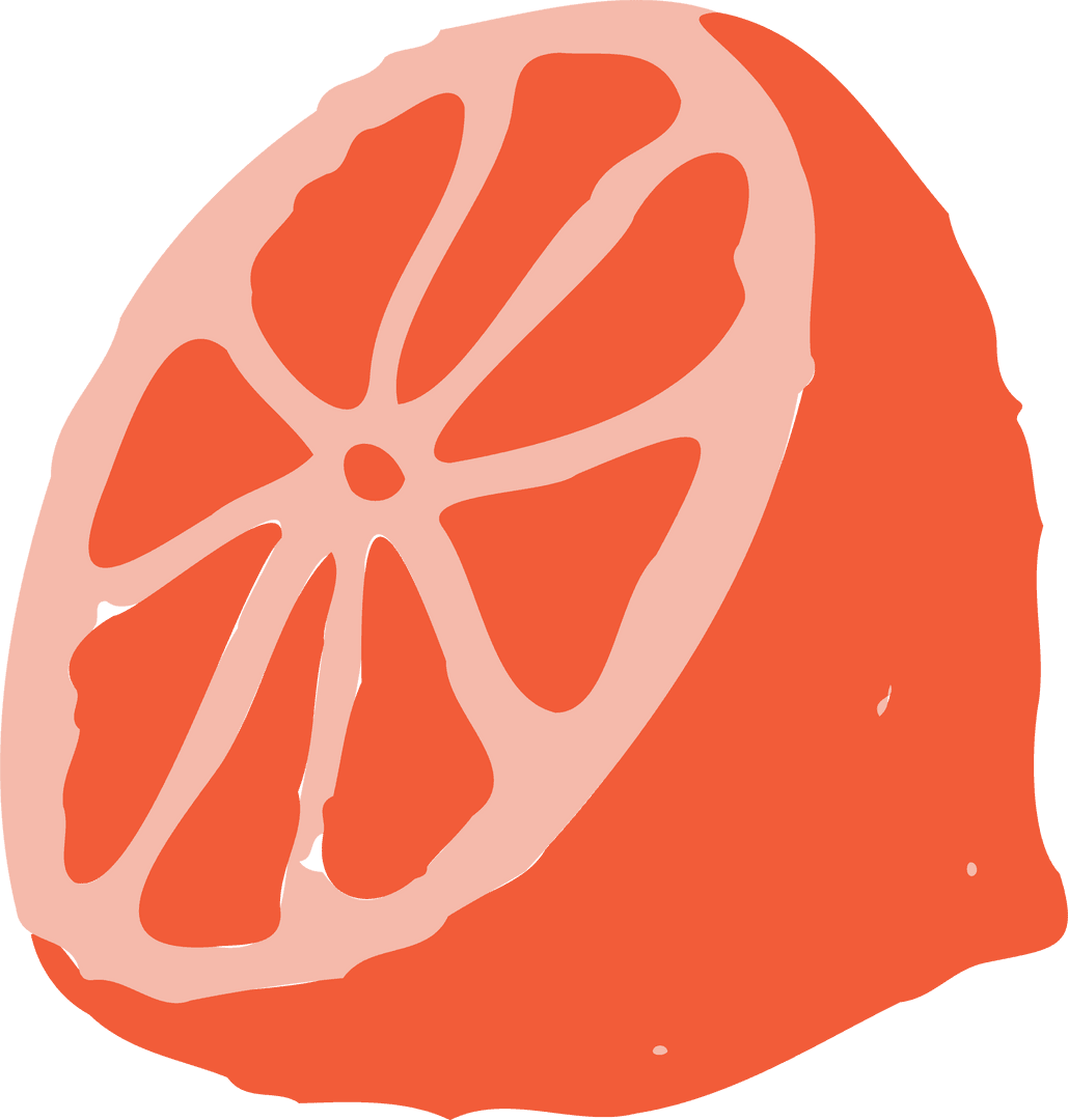Flat Design Citrus Slice in Coral Peach Hues with Transparent Background