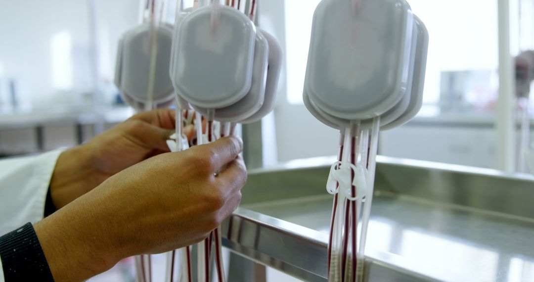 Technician Handling Blood Bags in Laboratory - Free Images, Stock Photos and Pictures on Pikwizard.com