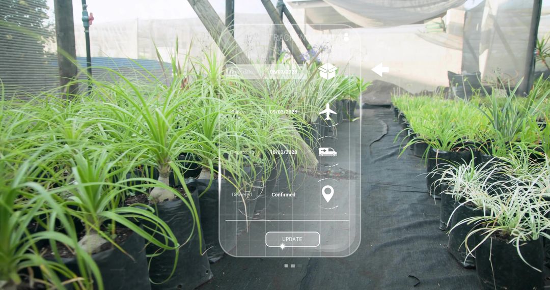 Displaying nursery rows of ornamental grass in grow bags with AR logistics overlay