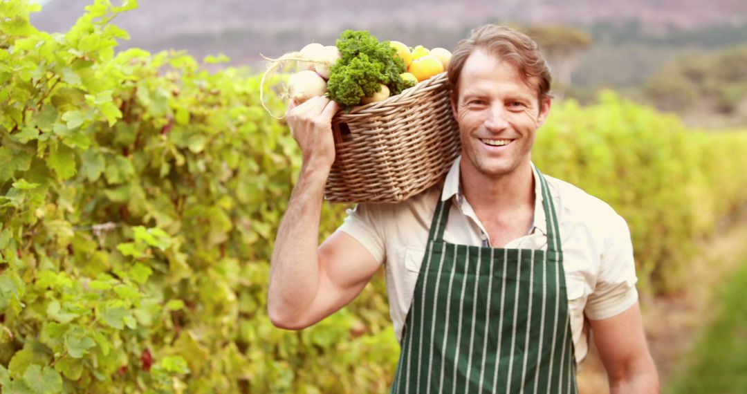 Happy Farmer Carrying Basket of Fresh Vegetables in Vineyard - Free Images, Stock Photos and Pictures on Pikwizard.com