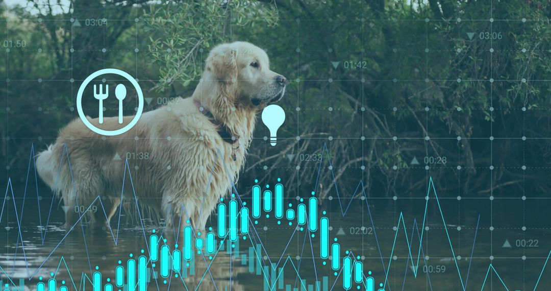 Golden Retriever in Woodland Creek with Digital Data Integration