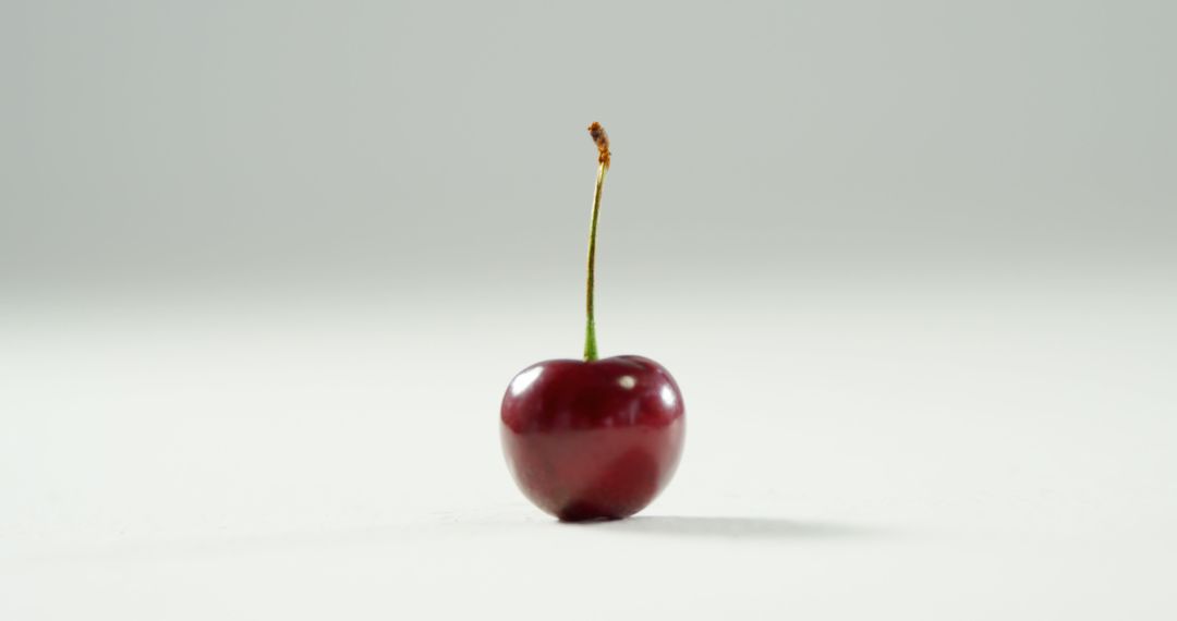 Close up of one fresh red cherry on white floor on white background - Free Images, Stock Photos and Pictures on Pikwizard.com