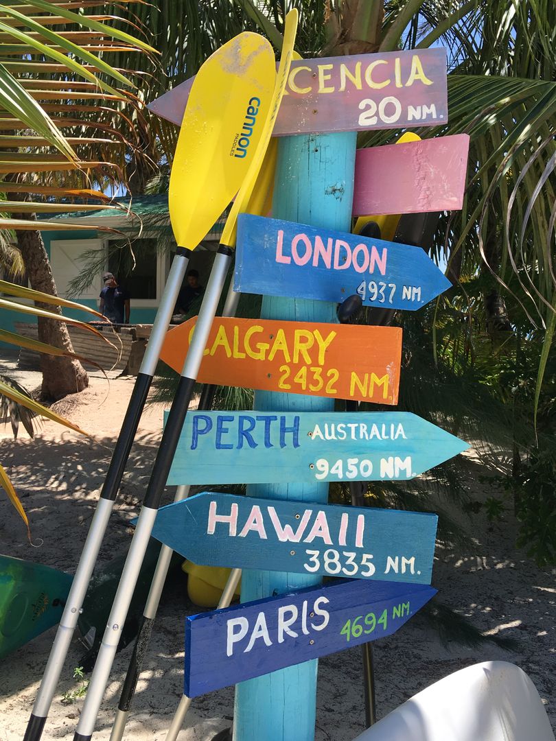 Colorful Wooden Direction Signs in Tropical Beach - Free Images, Stock Photos and Pictures on Pikwizard.com
