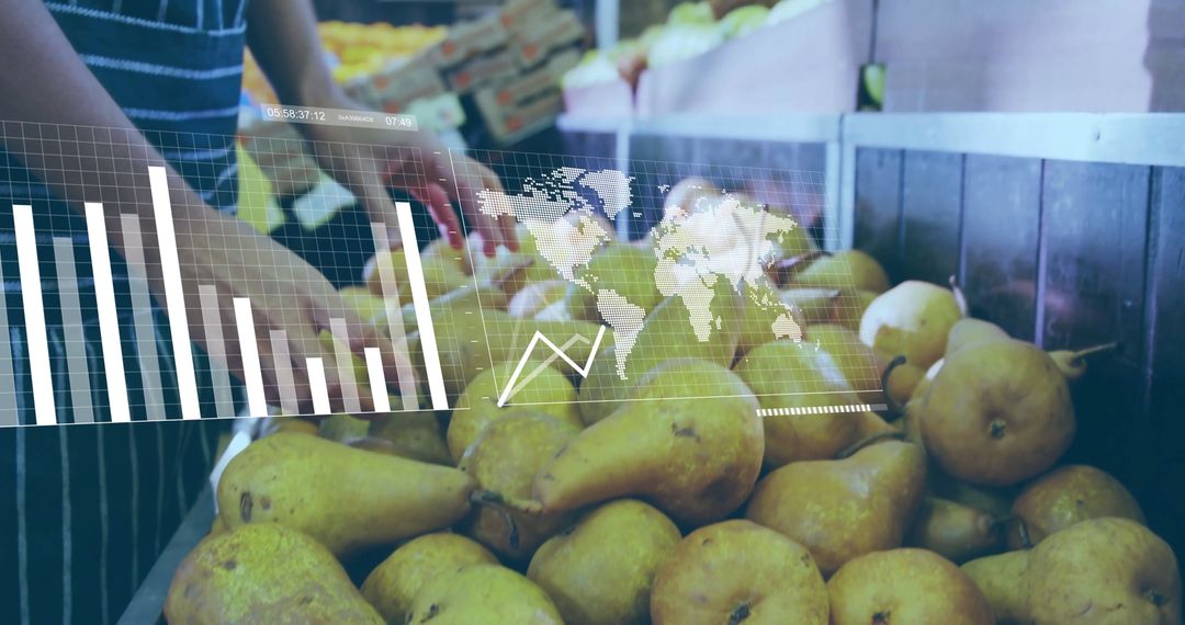 Market Clerk Sorting Pears with Analytical Data Overlay