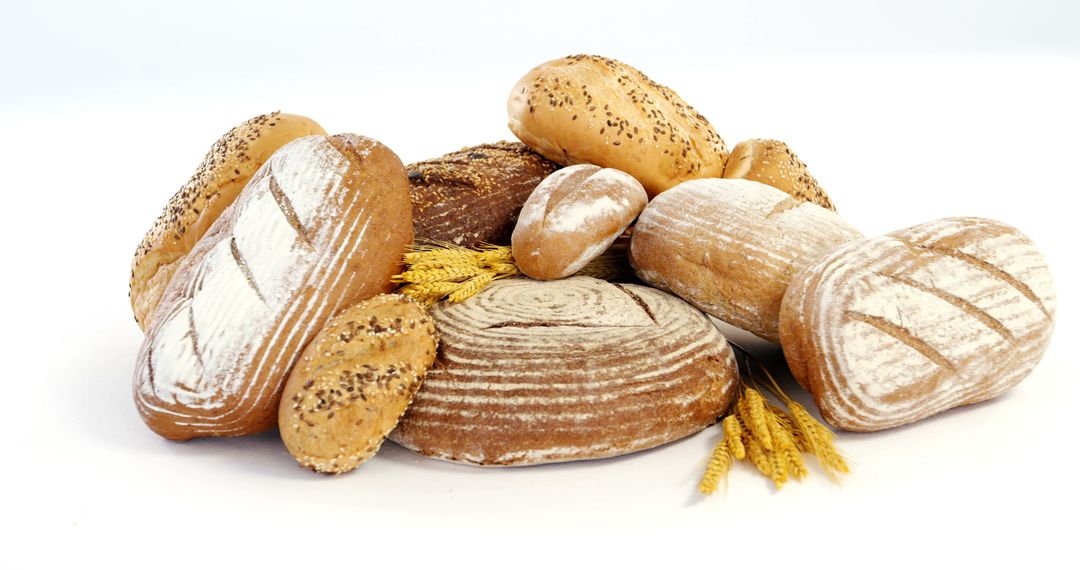 Assortment of Fresh Artisan Breads on White Background - Free Images, Stock Photos and Pictures on Pikwizard.com