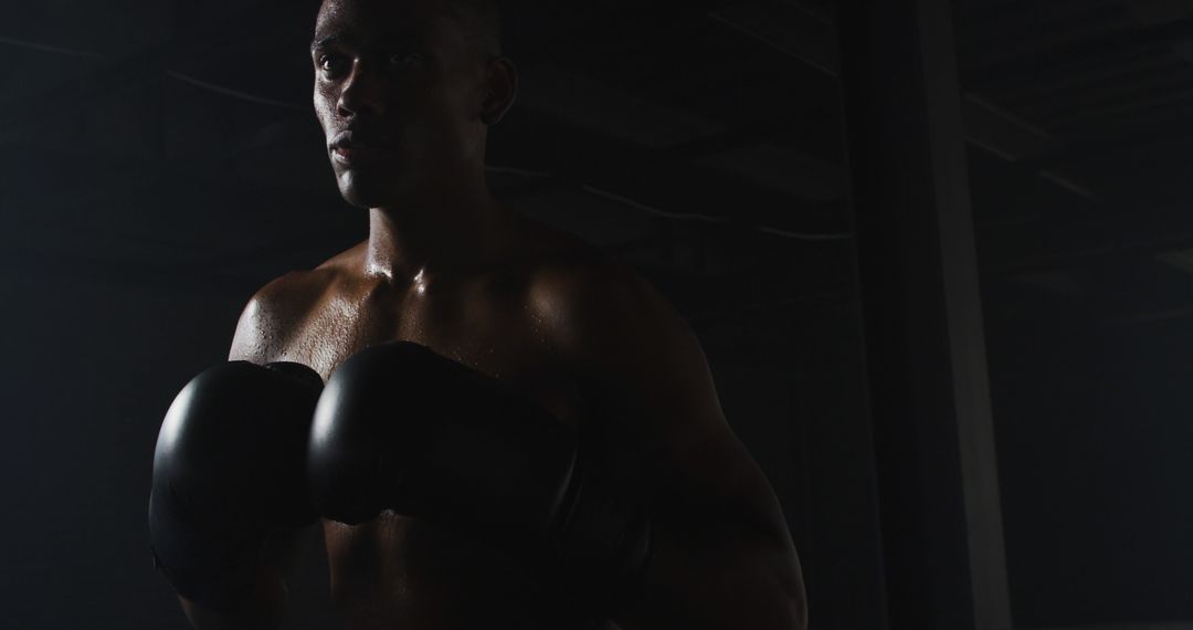 Determined Male Boxer Training in Dark Gym Setting - Free Images, Stock Photos and Pictures on Pikwizard.com