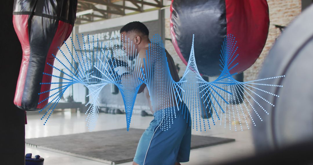 Man Training for Boxing in Gym with Visualized Sound Waves - Free Images, Stock Photos and Pictures on Pikwizard.com