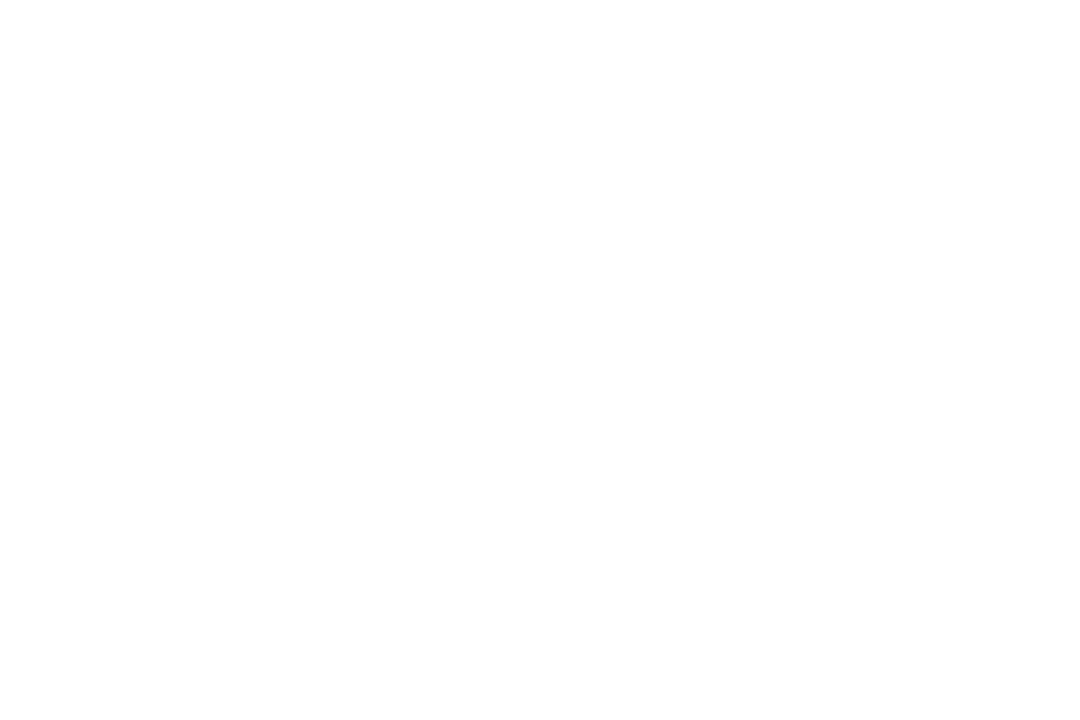 Transparent Forest Silhouette with White Fir Trees