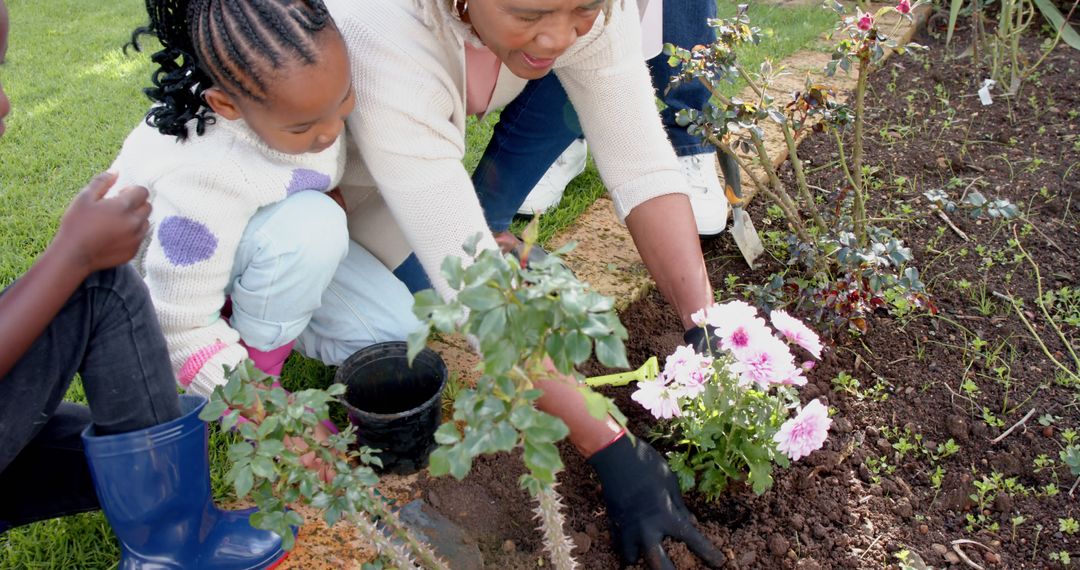 African american grandmother, grandson and granddaughter planting flowers in garden, slow motion - Free Images, Stock Photos and Pictures on Pikwizard.com