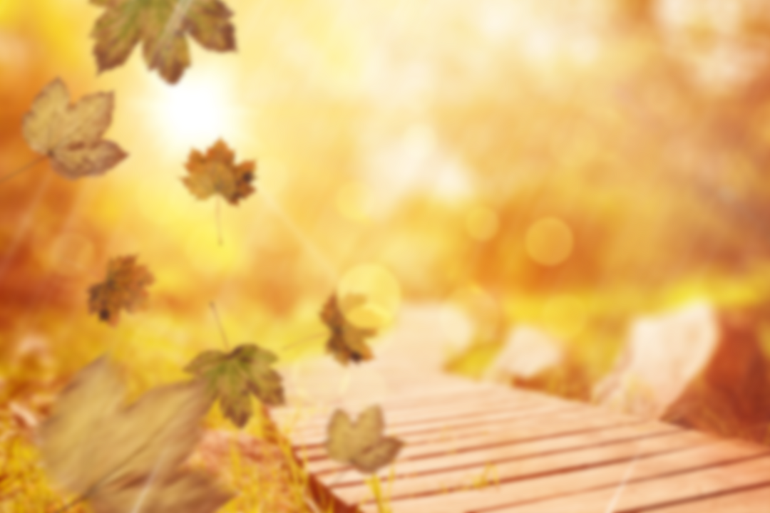 Floating Autumn Leaves with Transparent Background for Seasonal and Nature Themes - Download Free Stock Images Pikwizard.com