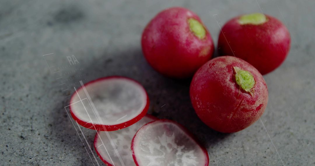 Fresh Red Radishes on Gray Stone Countertop