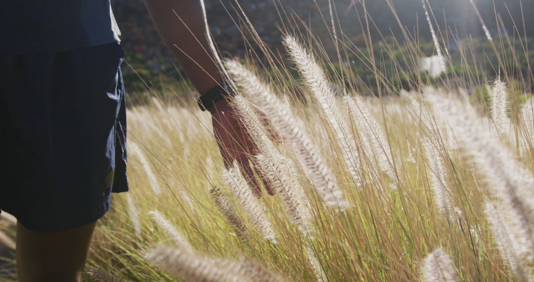 Person Touching Tall Grass in Sunlit Field - Free Images, Stock Photos and Pictures on Pikwizard.com