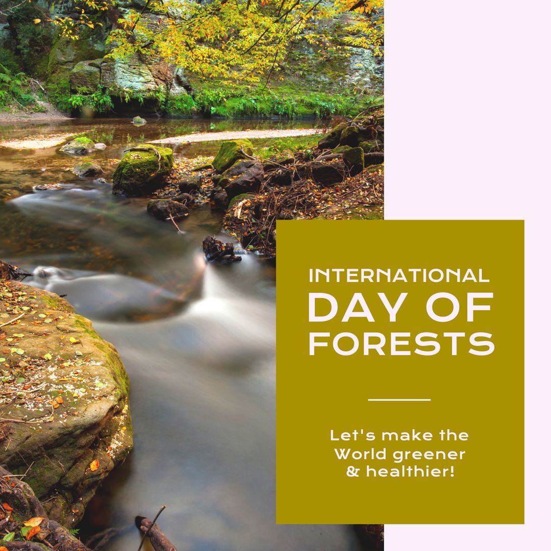 Celebrating International Day of Forests with Serene Forest Stream - Download Free Stock Templates Pikwizard.com