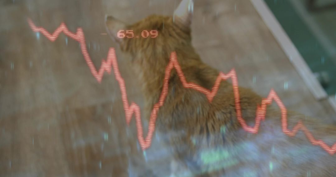 Ginger Cat Observing Red Line Graph on Floor Overlay