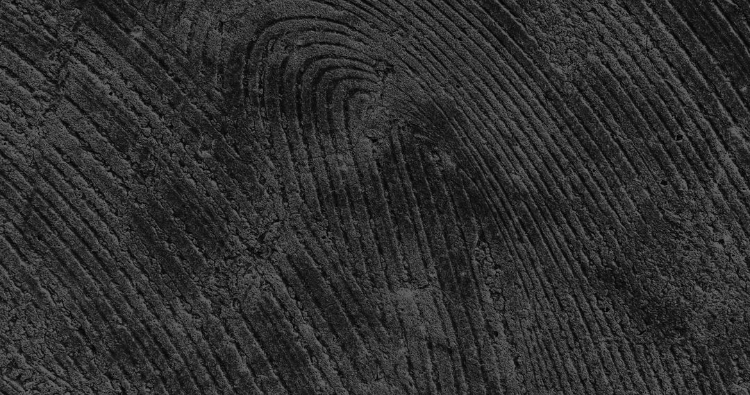 Intricate Black Textured Surface with Patterned Lines