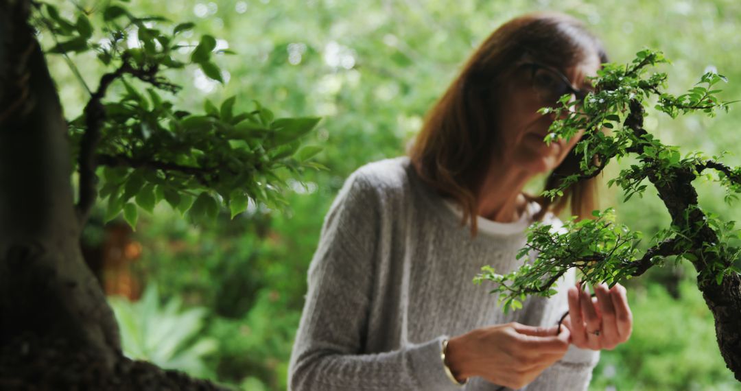 Woman Pruning Delicate Bonsai Tree in Tranquil Garden - Free Images, Stock Photos and Pictures on Pikwizard.com