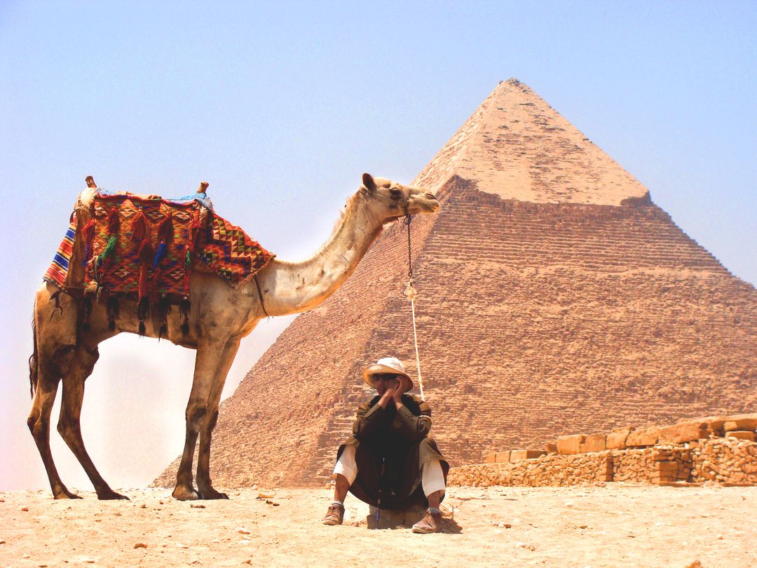 Camel desert pyramid  - Free Images, Stock Photos and Pictures on Pikwizard.com