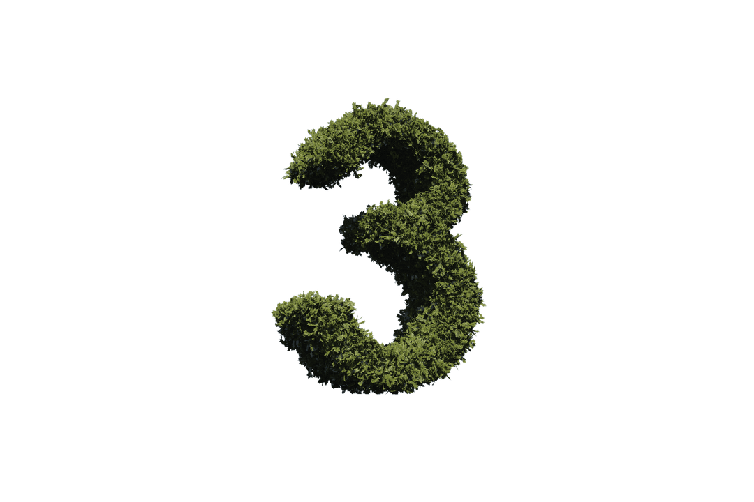 Number 3 Made of Leaves Transparent Background Illustration