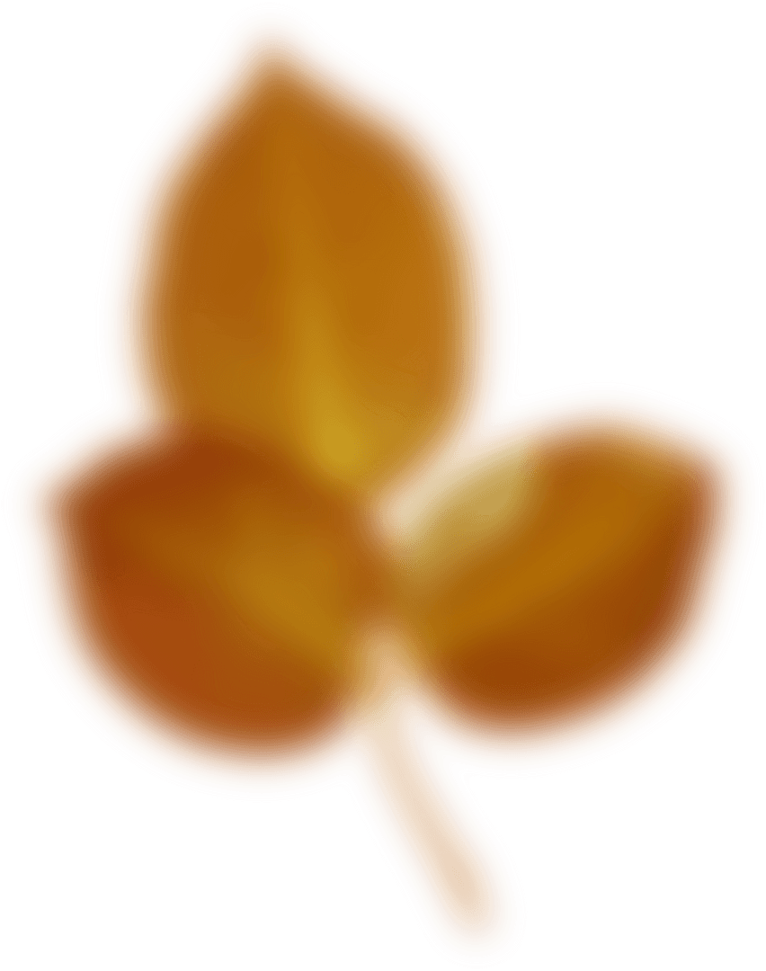 Transparent Blurry Autumn Leaf Illustration