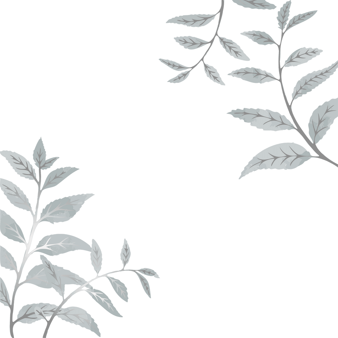 Minimalist Decorative Botanical Illustration on Transparent Background