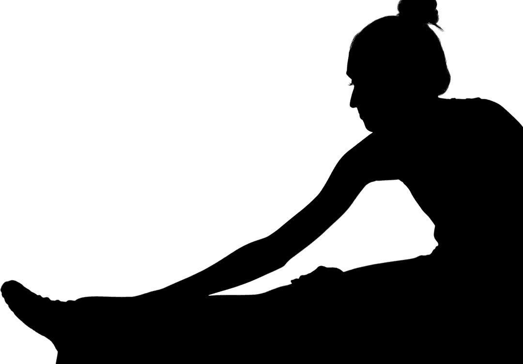 Silhouette of Woman Achieving Success with Transparent Text