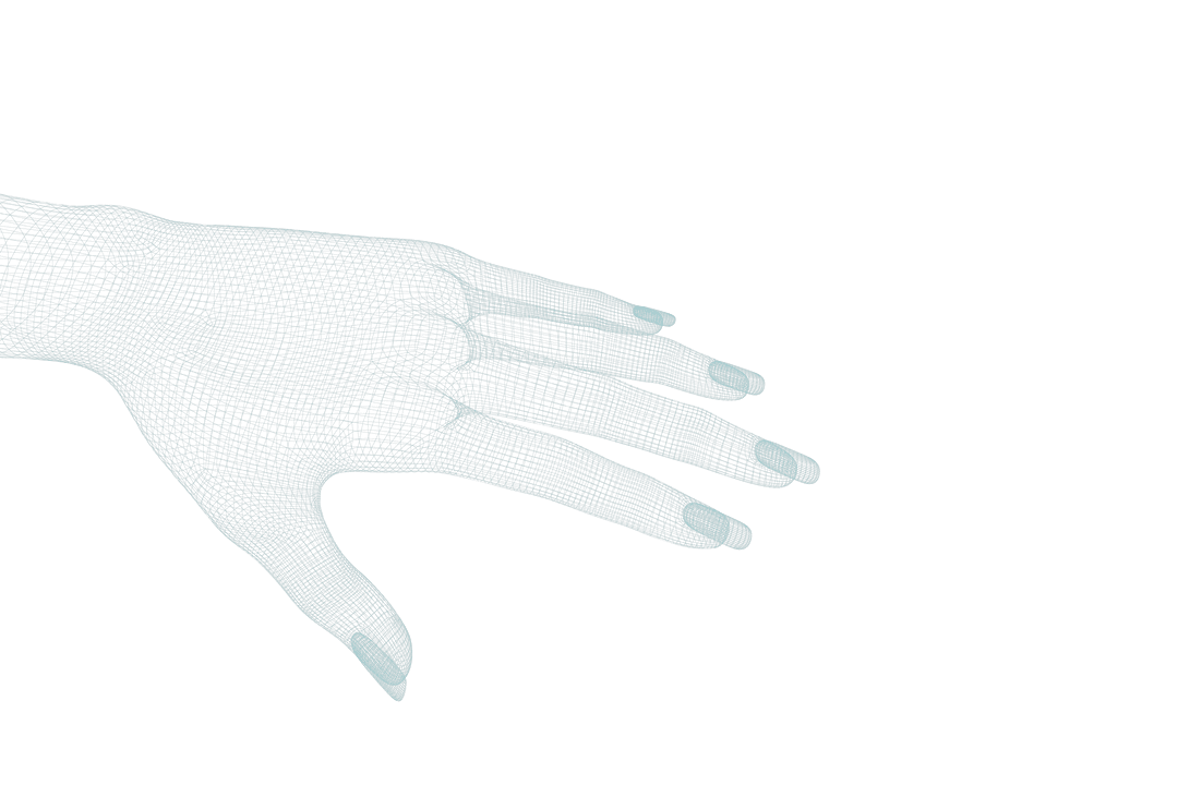 Transparent 3D Illustration of a Human Hand Wireframe