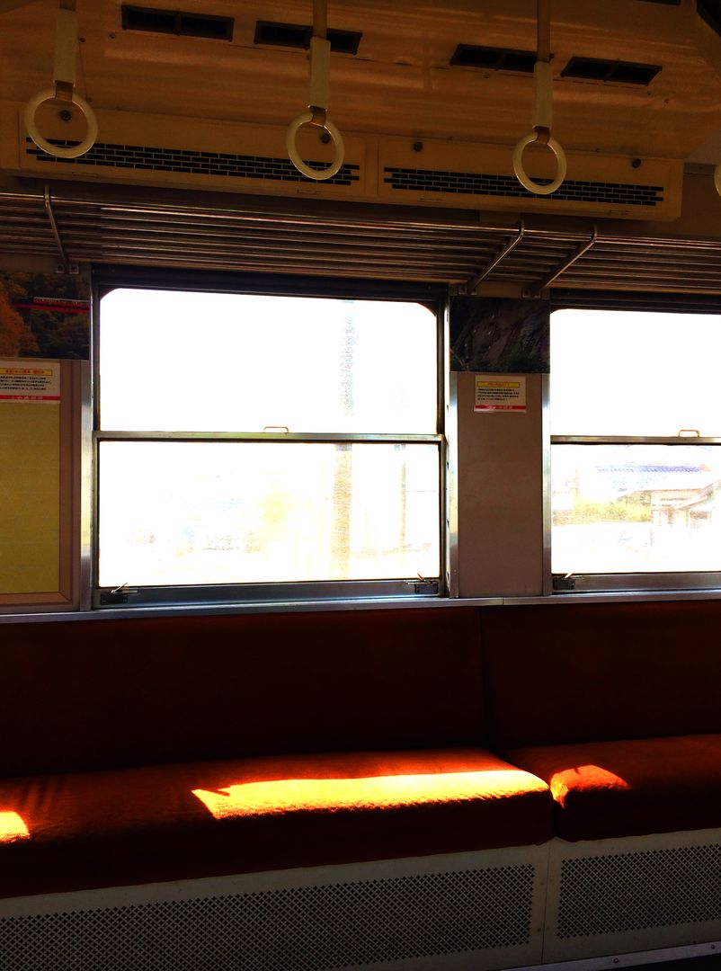 Empty Train Interior with Sunlight Streaming Through Windows - Free Images, Stock Photos and Pictures on Pikwizard.com