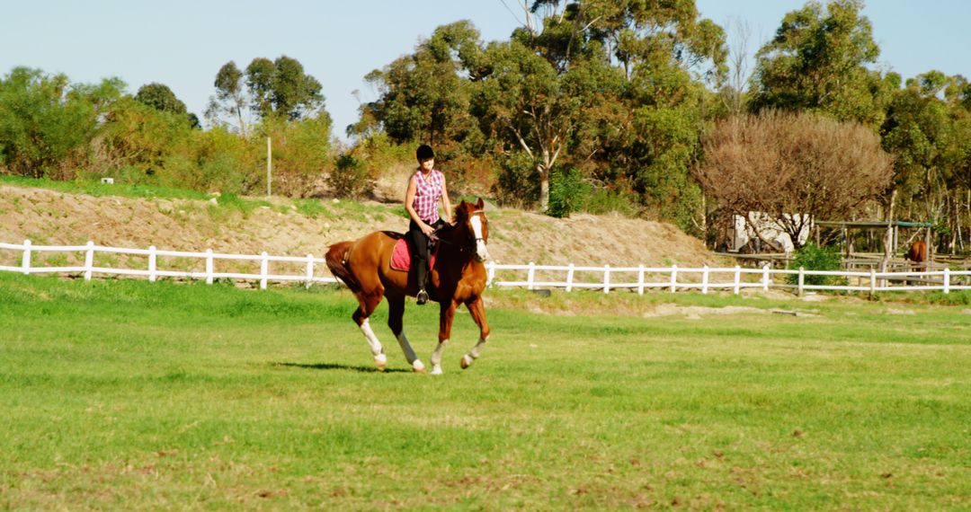 Woman enjoying horseback riding in a countryside field - Free Images, Stock Photos and Pictures on Pikwizard.com