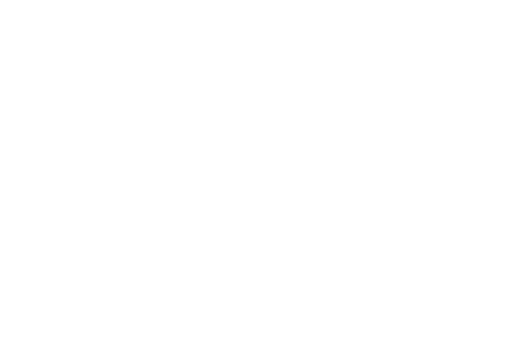 Intricate White Geometric Pattern on Transparent Background