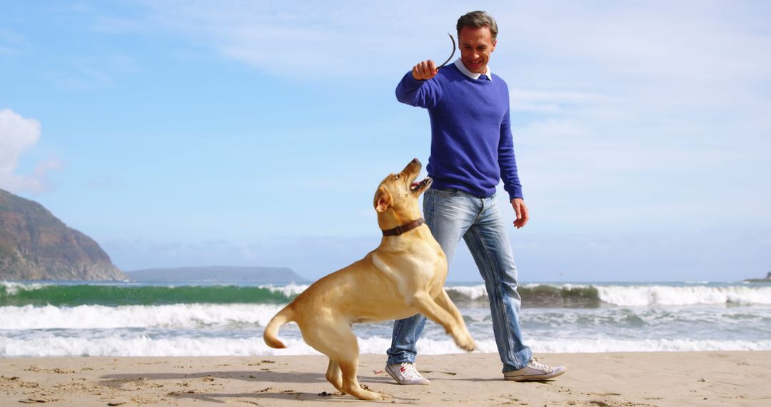 A middle-aged Caucasian man is playing with his dog on a sunny beach, with copy space - Free Images, Stock Photos and Pictures on Pikwizard.com