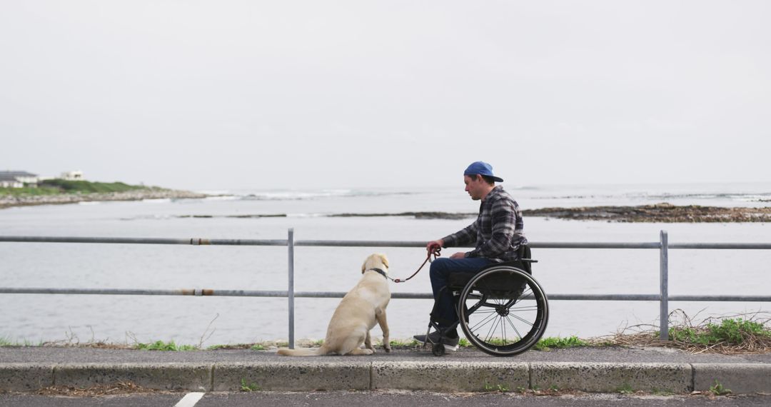 Man in wheelchair with service dog relaxing by seaside pathway - Free Images, Stock Photos and Pictures on Pikwizard.com