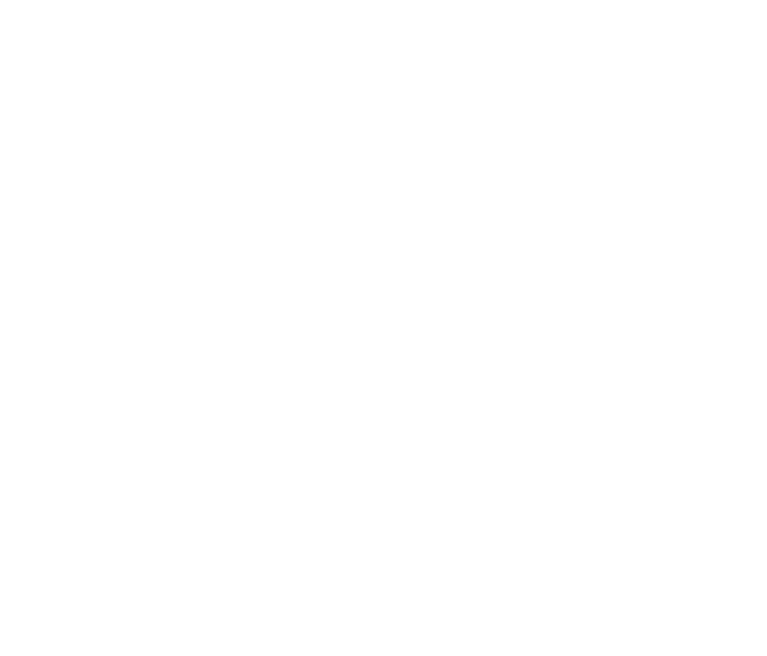 Silhouette of Male Fencer Lunging with Sword on Transparent Background - Download Free Stock Images Pikwizard.com