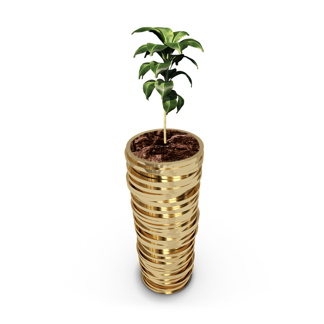 Transparent Coins Stack with Growing Plant Vector - Download Free Stock Images Pikwizard.com