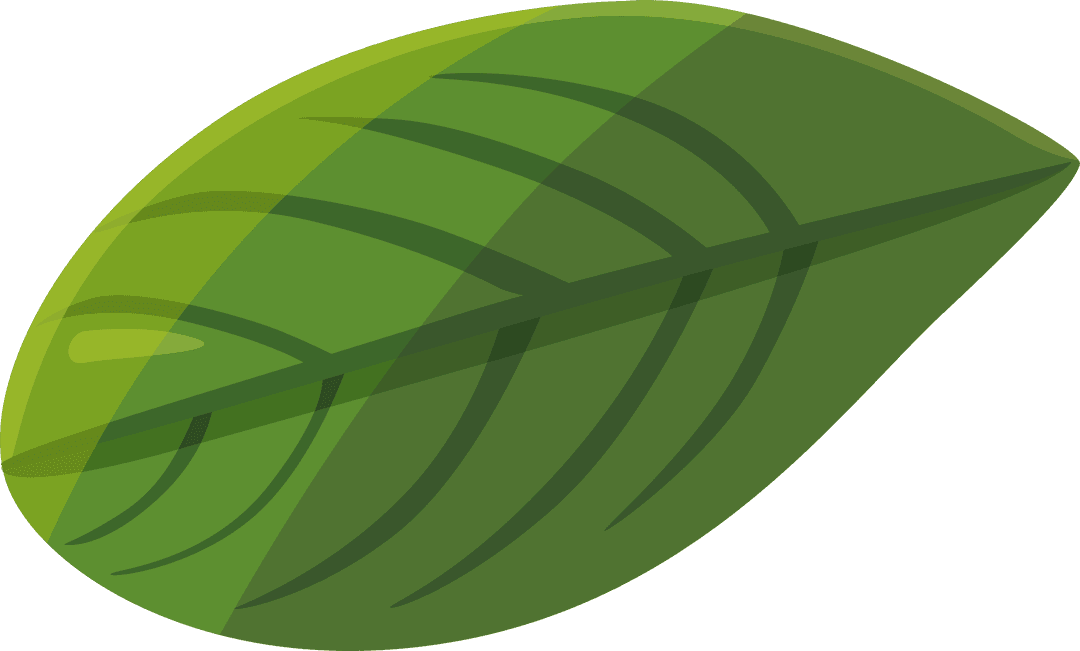 Green Stylized Leaf with Transparent Background for Eco-Friendly Design