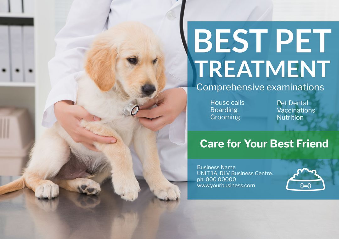 Veterinarian Examining Golden Retriever Puppy Highlighting Pet Health Services